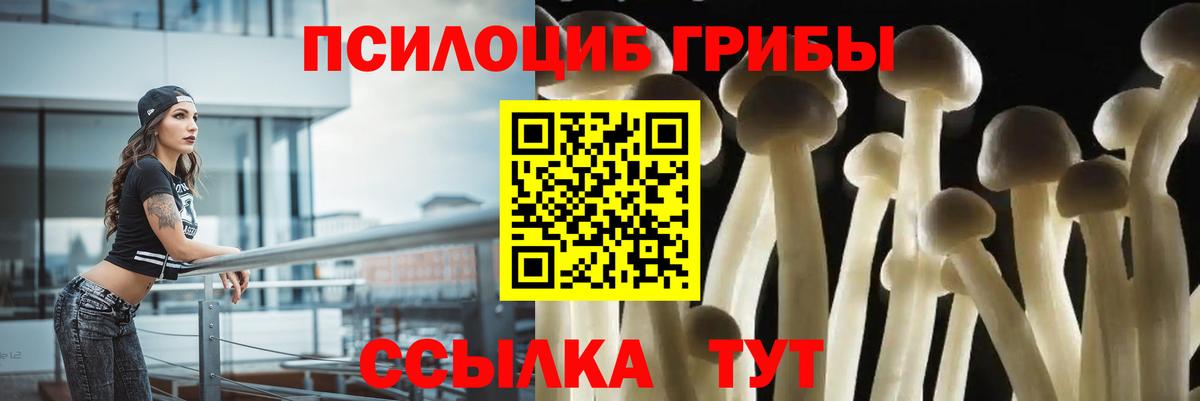 Брянск  наркота  Галлюциногенные грибы Cubensis  Вход с VPN  Псилоцибиновые грибы Psilocybe 